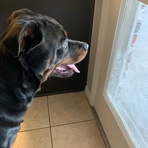 🌞Happy Monday - for SALE 💐☘️